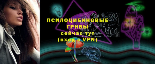индика Белоозёрский