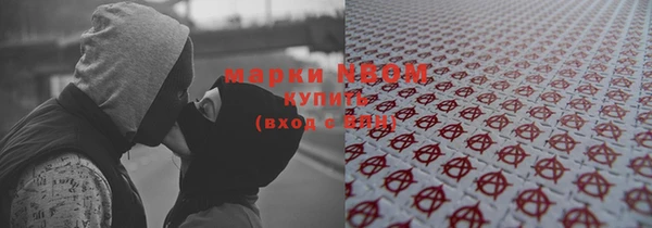 индика Белоозёрский
