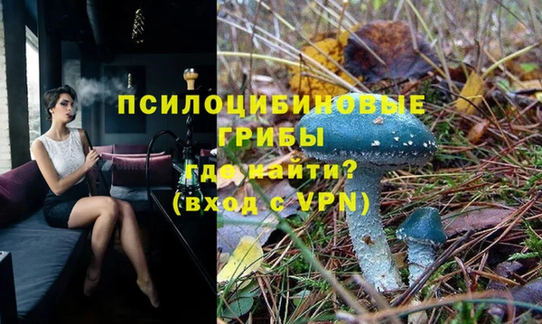 ALPHA PVP Белокуриха