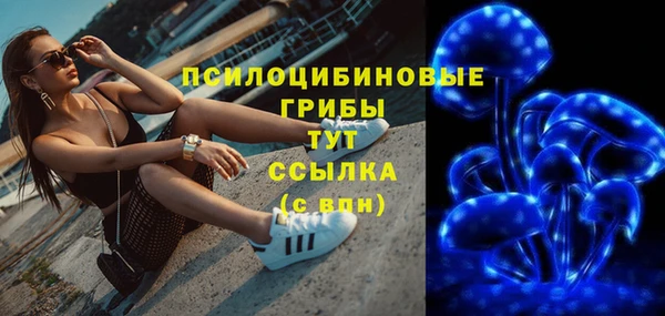 ALPHA PVP Костерёво