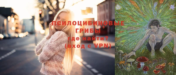 ALPHA PVP Белокуриха