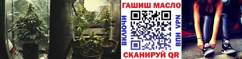 где продают Малмыж Дистиллят ТГК THC oil