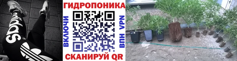 Марихуана конопля  где купить наркотик  Малмыж 